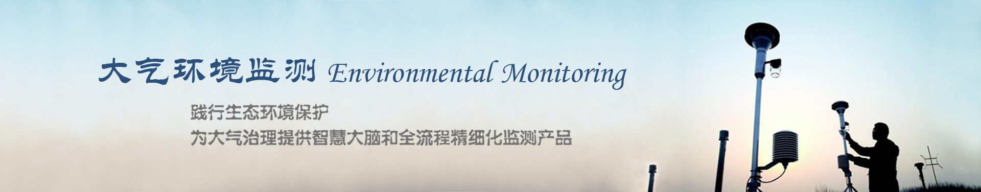 在線酸露點(diǎn)儀